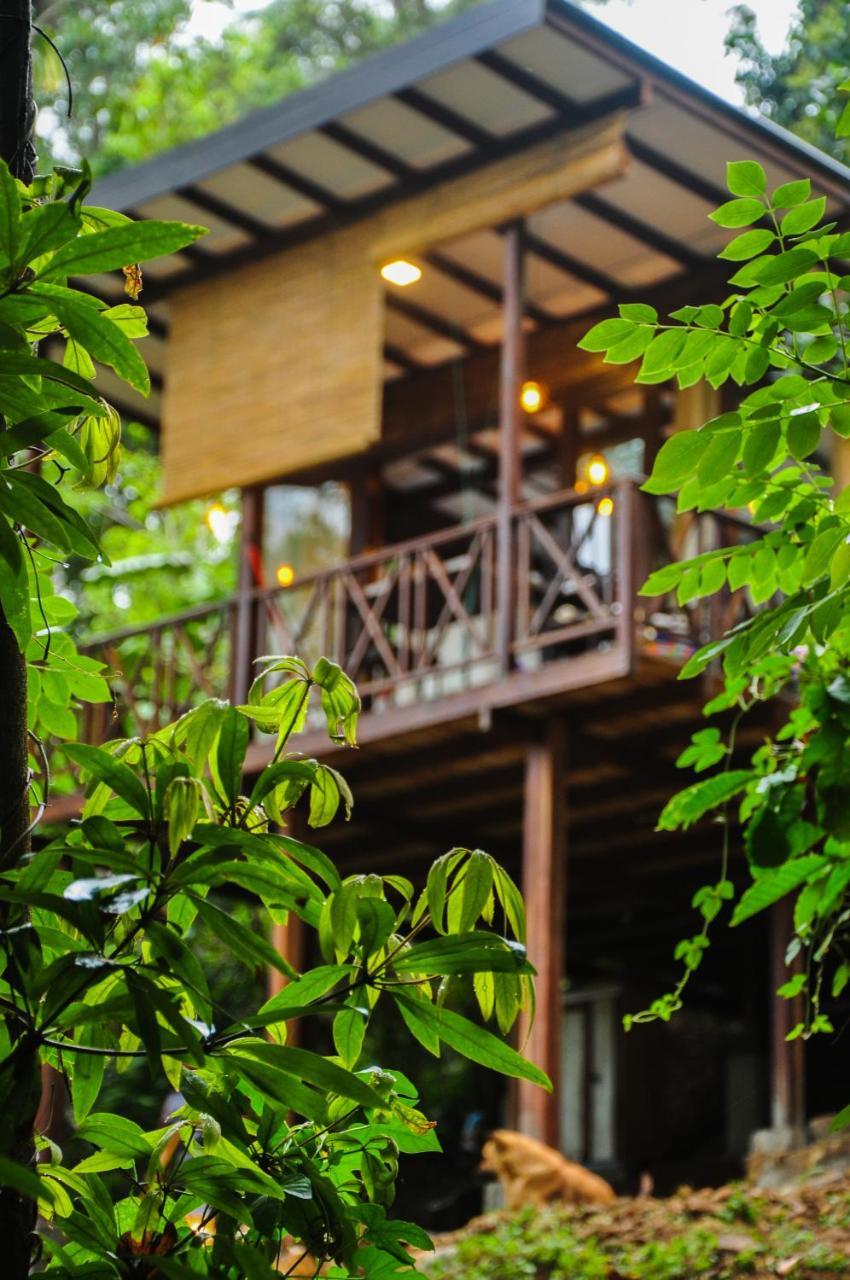 Villa Skygazer เอลลา ภายนอก รูปภาพ